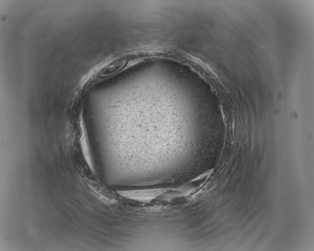 X0000078841160200611271315