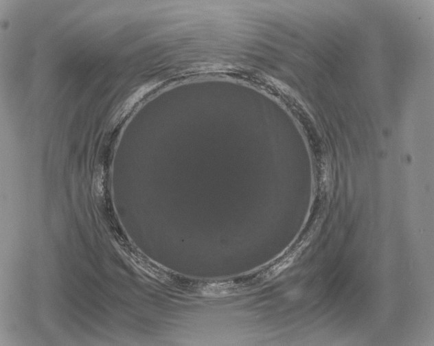 X0000078841161200611271315