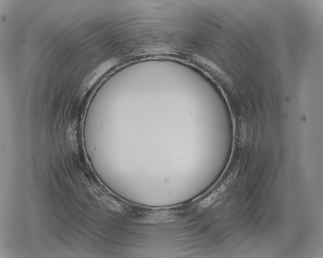 X0000078841162200611271315