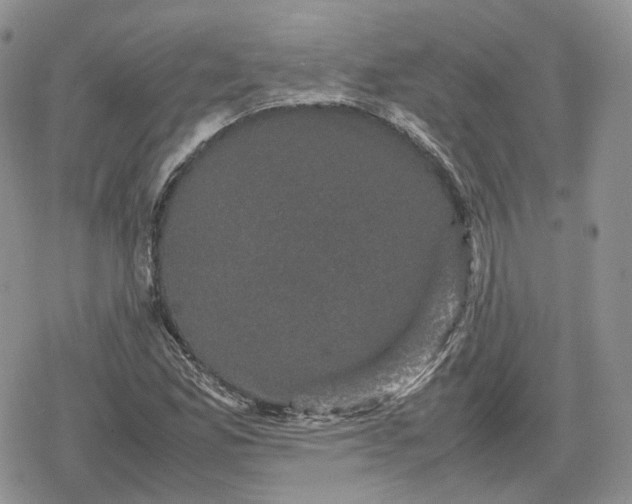 X0000078841165200611271315