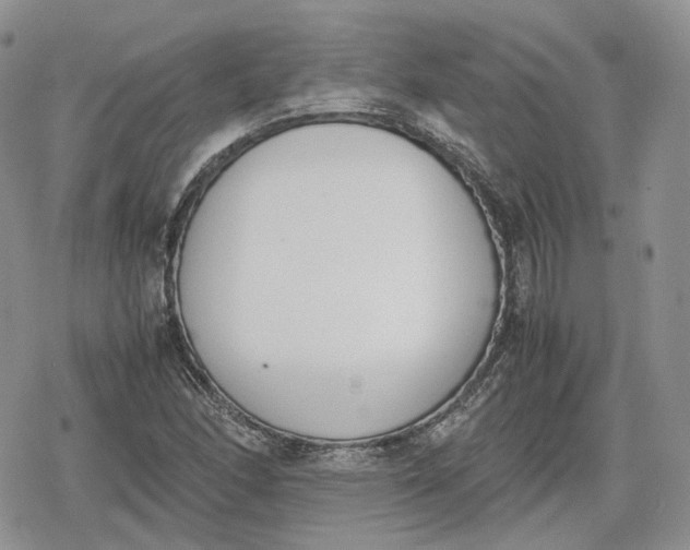 X0000078841166200611271315