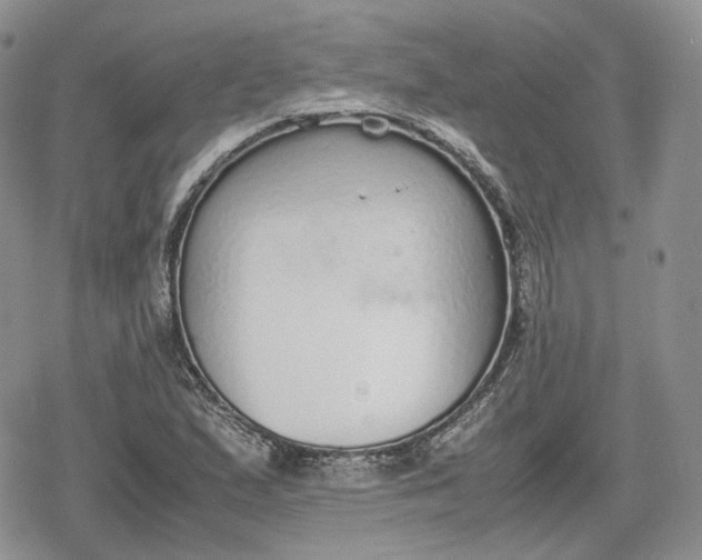 X0000078841167200611271314