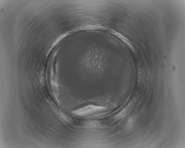 X0000078841170200611271314