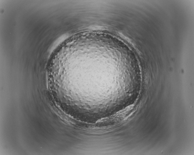 X0000078841171200611271314