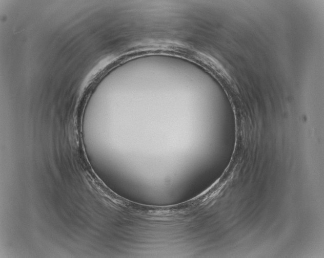 X0000078841172200611271314