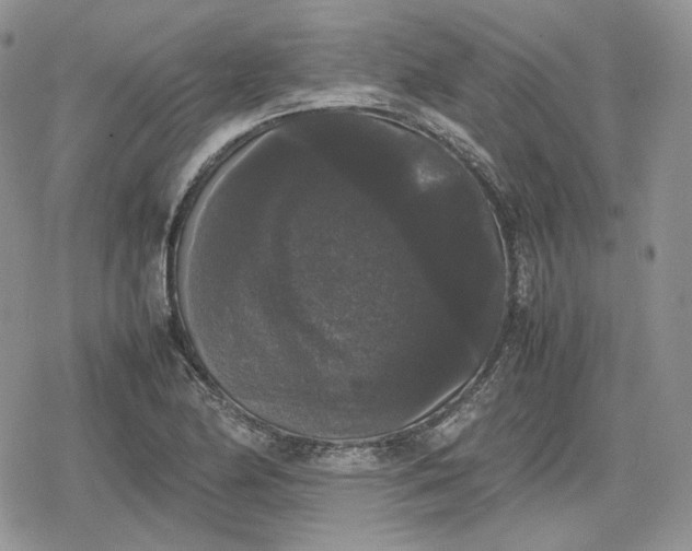 X0000078841174200611271314