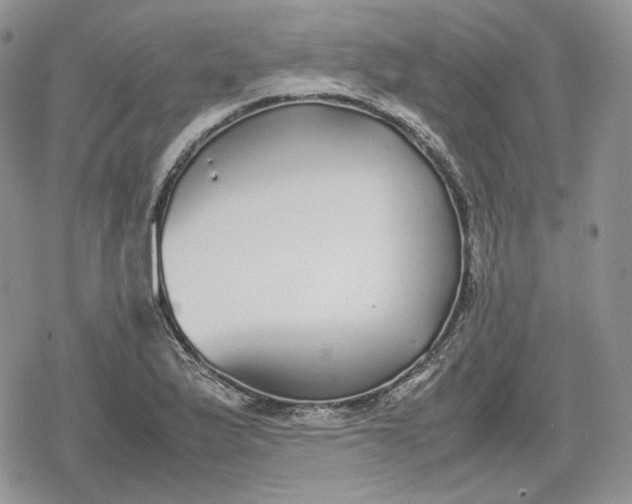 X0000078841175200611271314