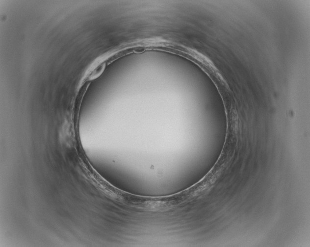 X0000078841176200611271314