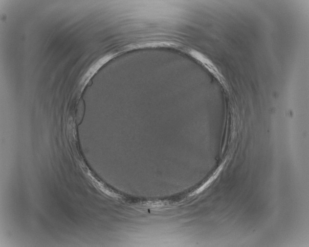 X0000078841177200611271314