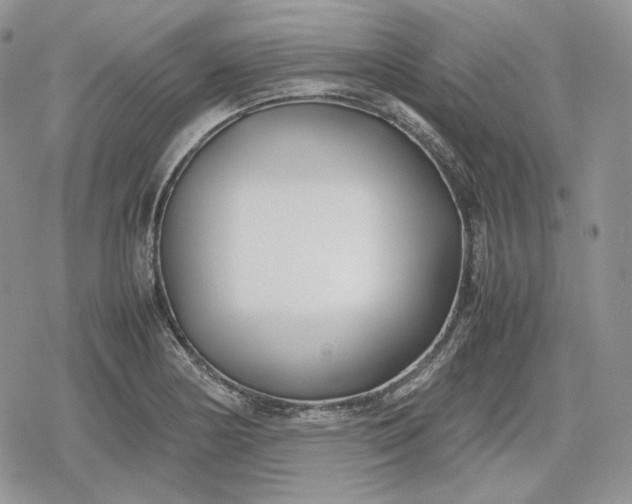 X0000078841178200611271314