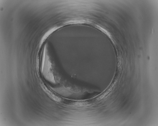 X0000078841179200611271314