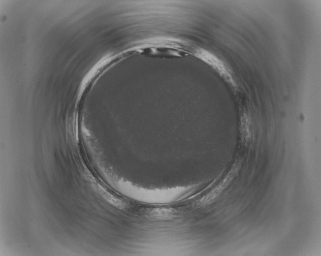 X0000078841180200611271314