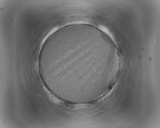 X0000078841181200611271314