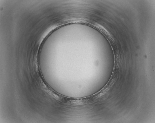 X0000078841182200611271314