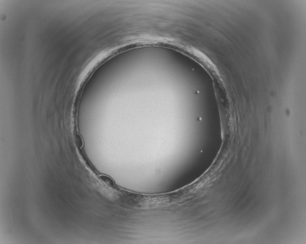 X0000078841183200611271314