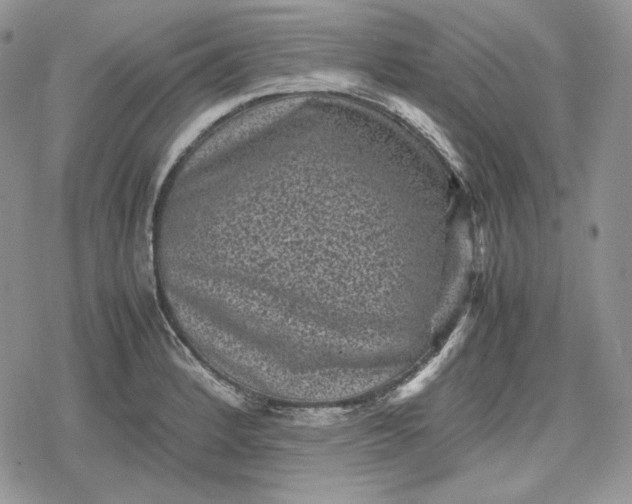 X0000078841184200611271314