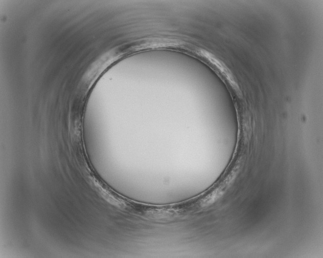 X0000078841185200611271314