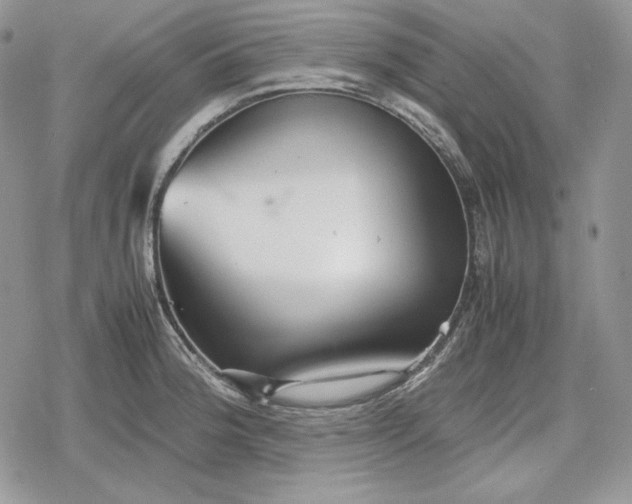 X0000078841188200611271314