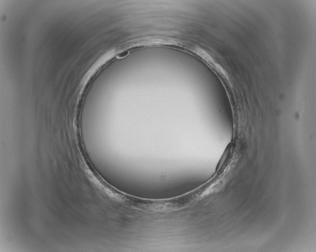 X0000078841189200611271314