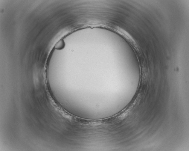 X0000078841190200611271314