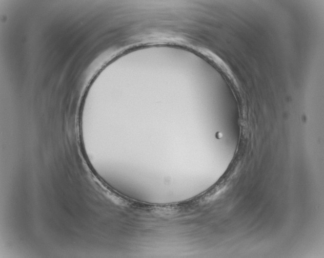 X0000078841191200611271314