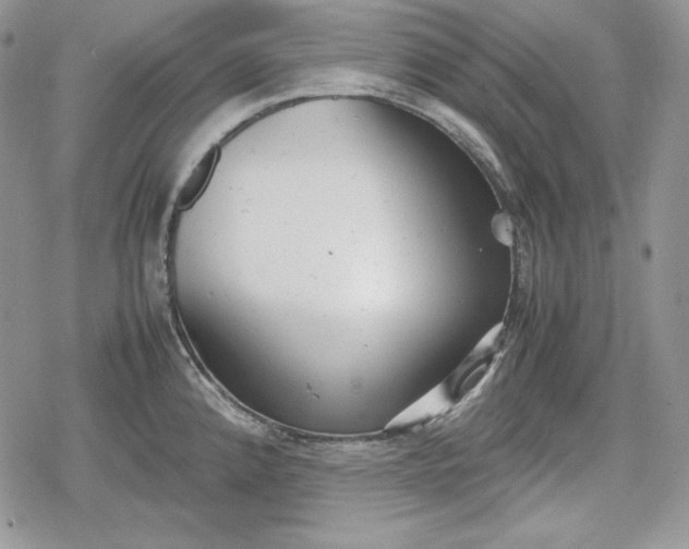 X0000078841192200611271314