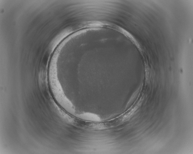 X0000078841194200611271314