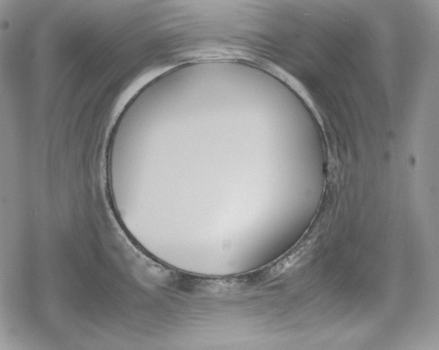 X0000078841195200611271314