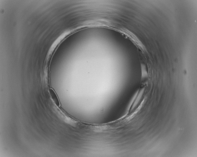 X0000078841196200611271314