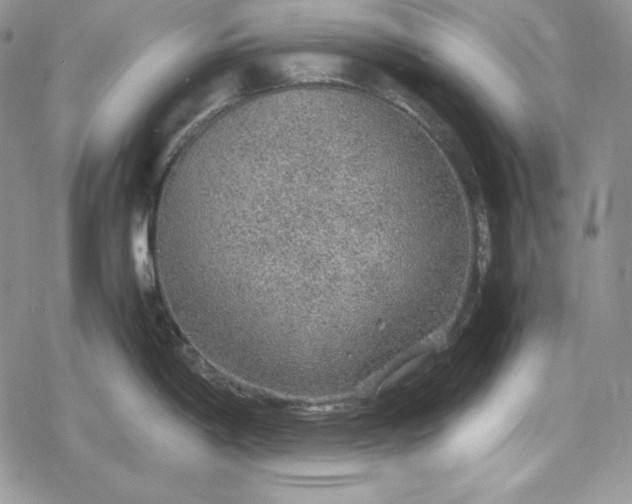 X0000078841198200611271314