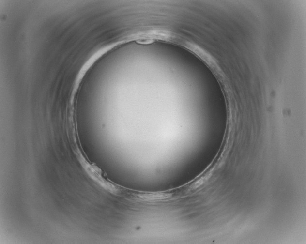 X0000078841200200611271314