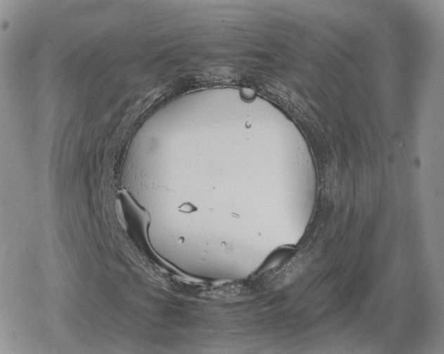 X0000078841201200611271313