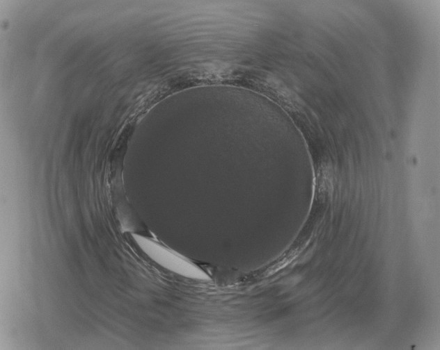 X0000078841202200611271313