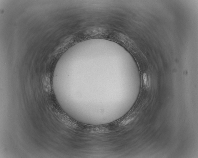 X0000078841203200611271313