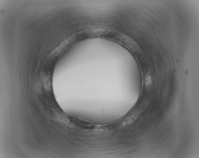 X0000078841204200611271313