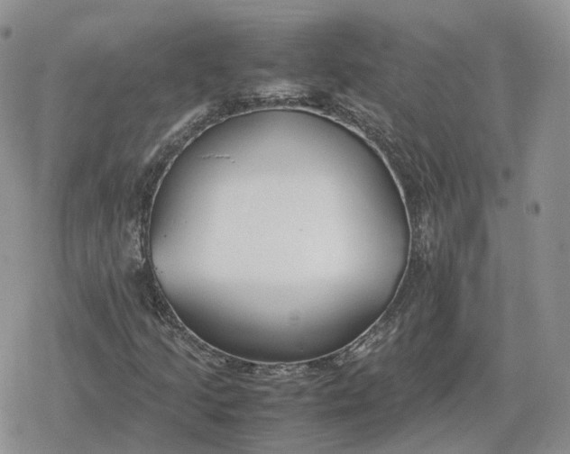 X0000078841205200611271313