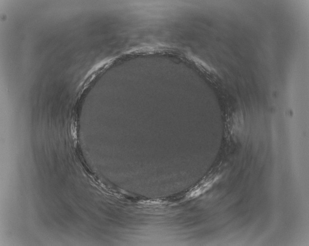 X0000078841206200611271313