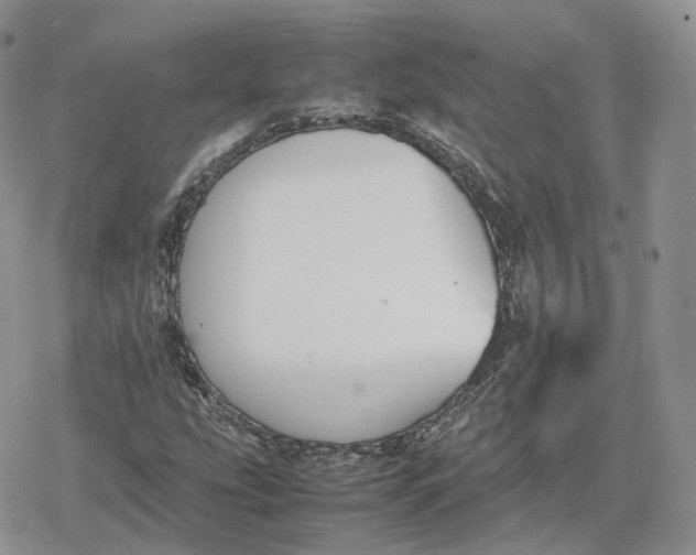 X0000078841207200611271313