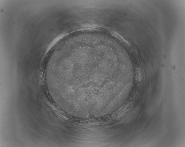 X0000078841208200611271313