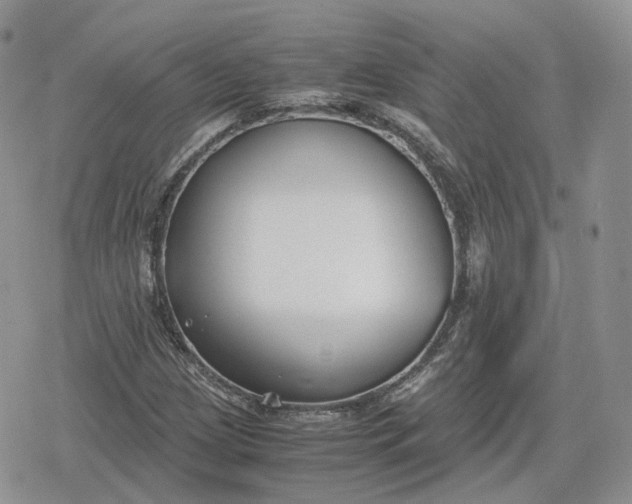 X0000078841209200611271313