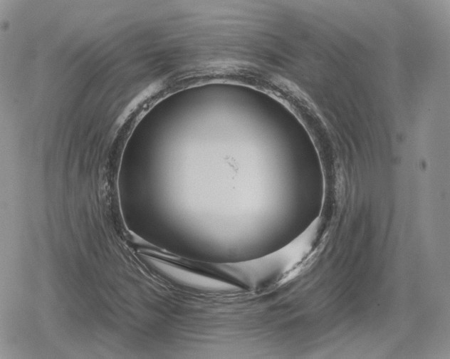 X0000078841210200611271313