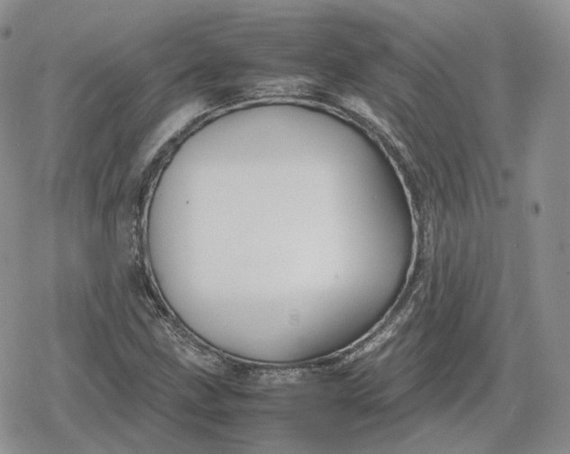 X0000078841211200611271313