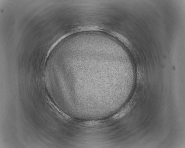 X0000078841212200611271313