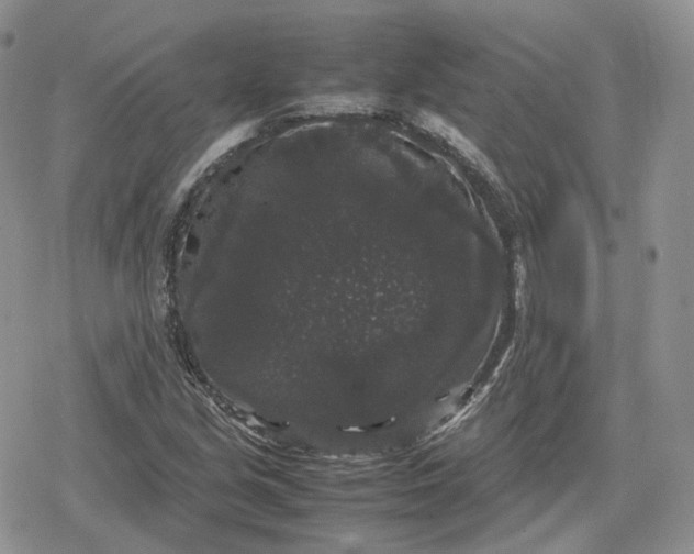 X0000078841213200611271313