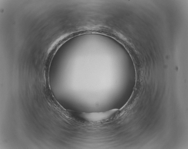 X0000078841214200611271313