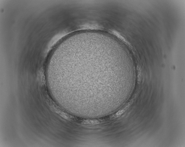 X0000078841215200611271313