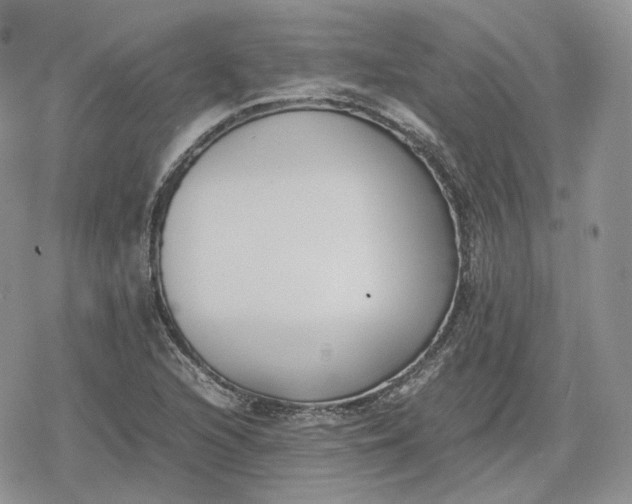 X0000078841216200611271313