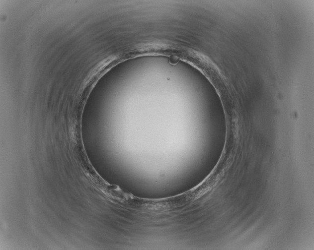 X0000078841217200611271313