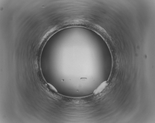 X0000078841218200611271313