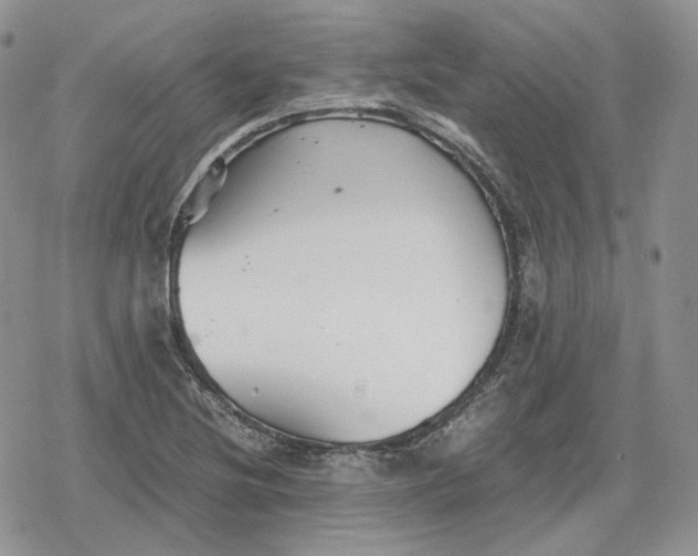 X0000078841220200611271313